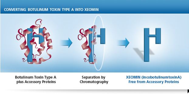 Xeomin Los Angeles Xeomin Los Angeles